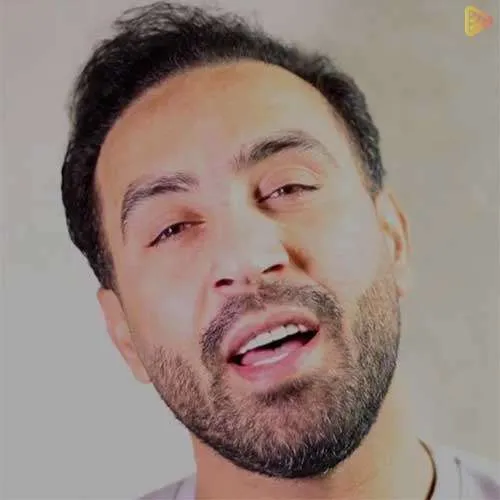 نت سل