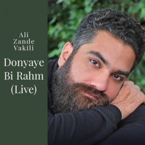 دانلود آهنگ علی زند وکیلی دنیای بی رحم (اجرای زنده) + متن آهنگ