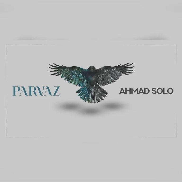 پرواز