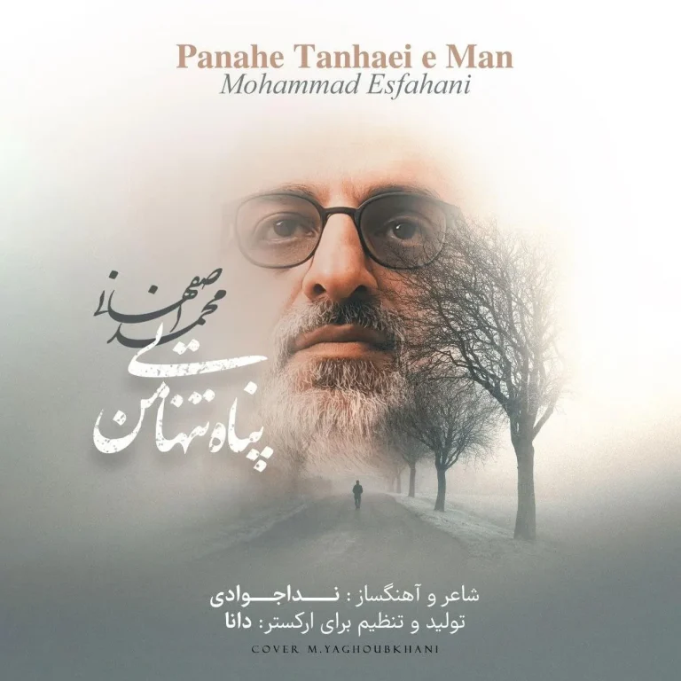 پناه تنهایی من